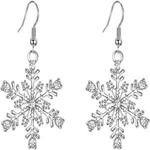 Crystal Winter Party Hook Dangle Earrings